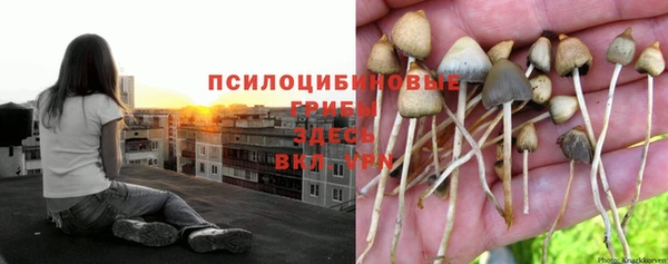 меф Покровск