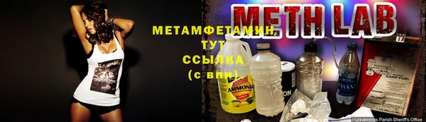 гидра Покров